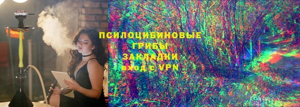 гашик Балахна