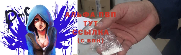 гашик Балахна