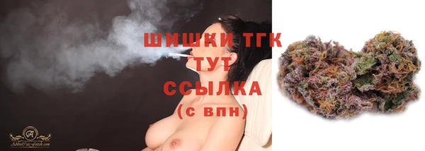 гашик Балахна