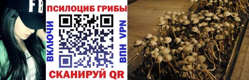Псилоцибиновые грибы прущие грибы  Тихорецк 